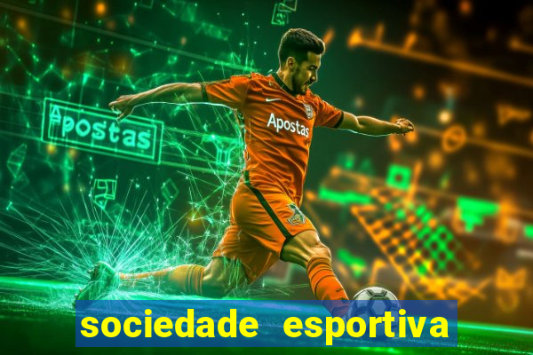 sociedade esportiva palmeiras x botafogo futemax